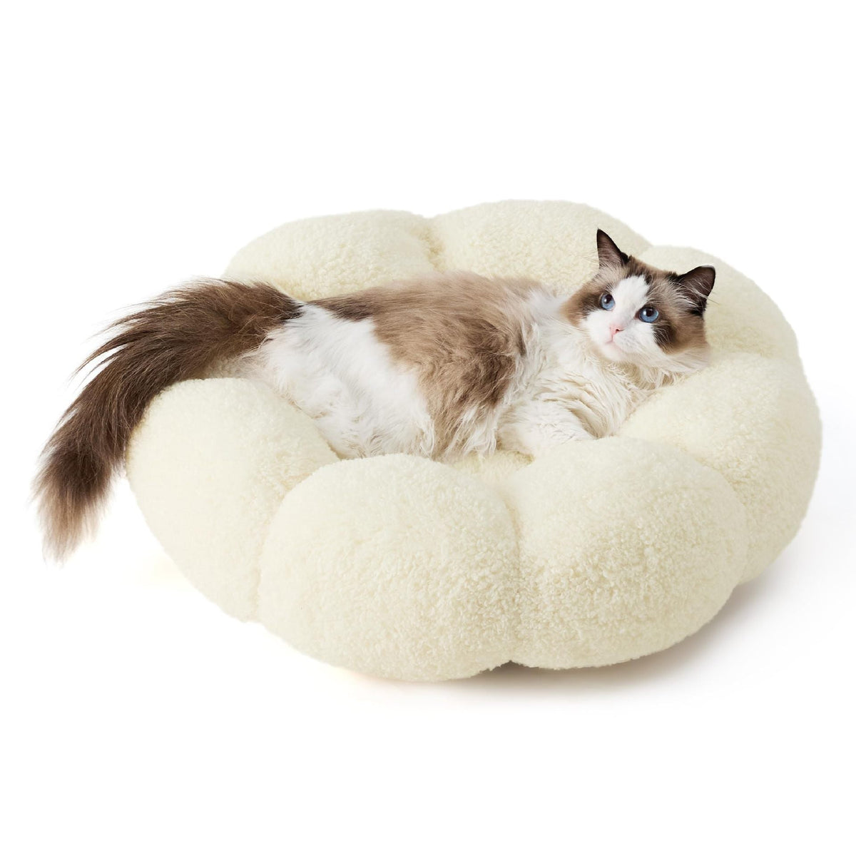 Luxury Floral Fluffy Donut Cat Bed – Soft & Washable Round Cushion