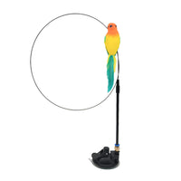 Parrot sucker model