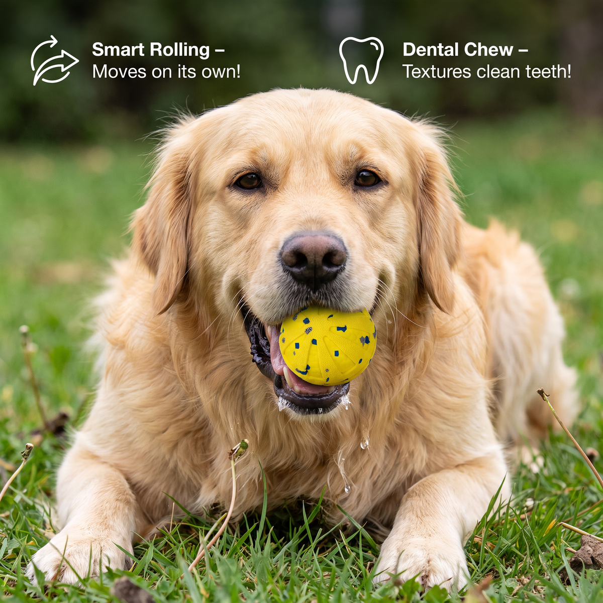 Interactive Rechargeable Dog Ball – Smart Rolling & Dental Chew Toy