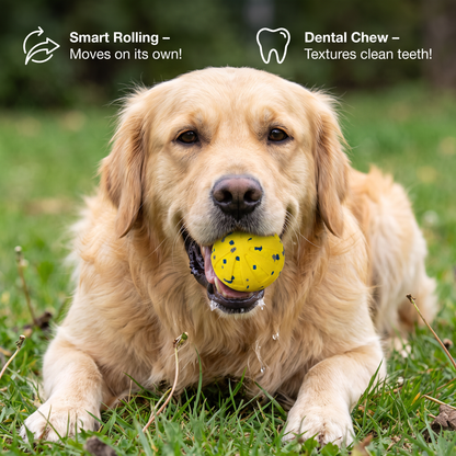 Interactive Rechargeable Dog Ball – Smart Rolling & Dental Chew Toy